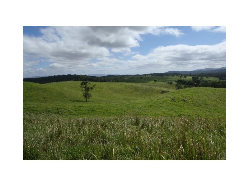 Barrine QLD 4872