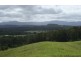 Barrine QLD 4872