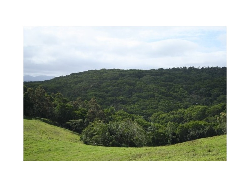 Barrine QLD 4872