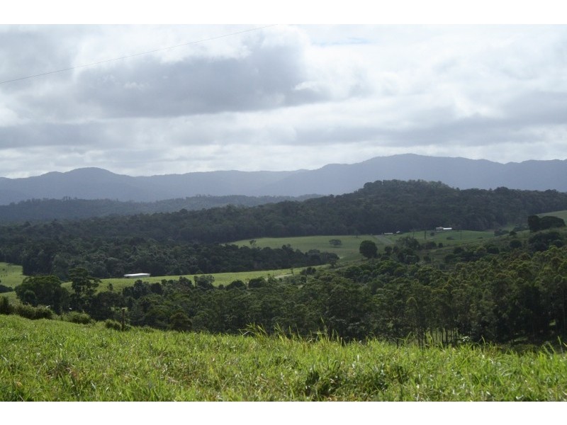 Barrine QLD 4872