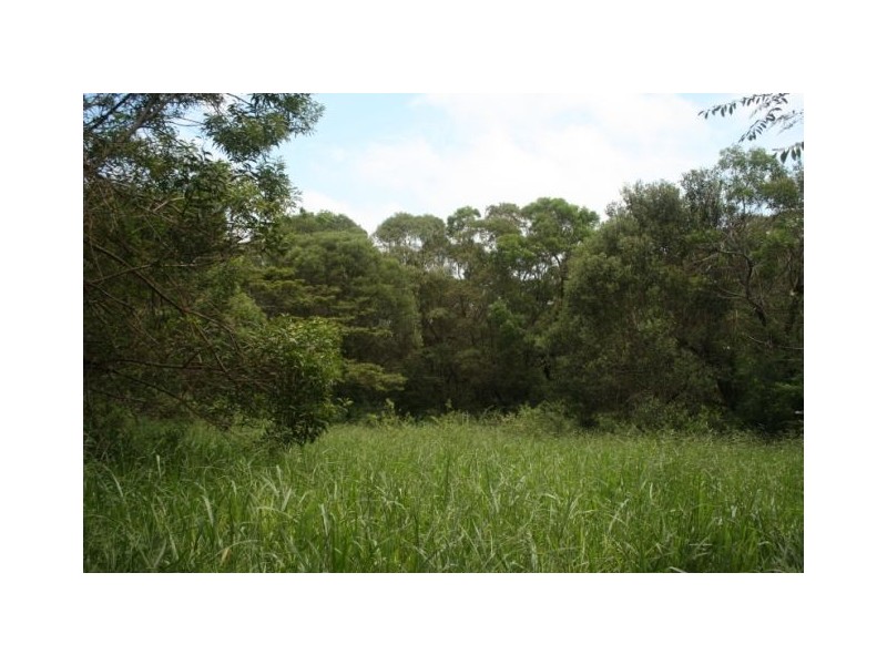 Lake Eacham QLD 4884
