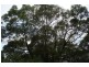 Lake Eacham QLD 4884