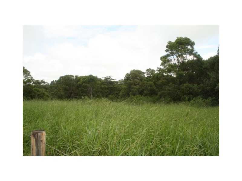 Lake Eacham QLD 4884