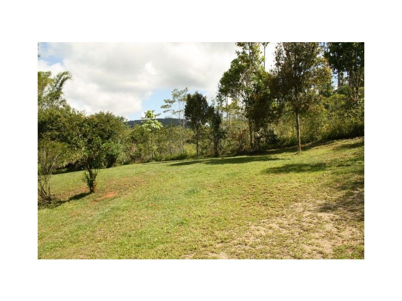 Millaa Millaa QLD 4886
