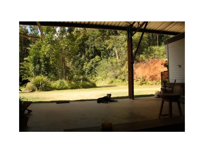 Millaa Millaa QLD 4886