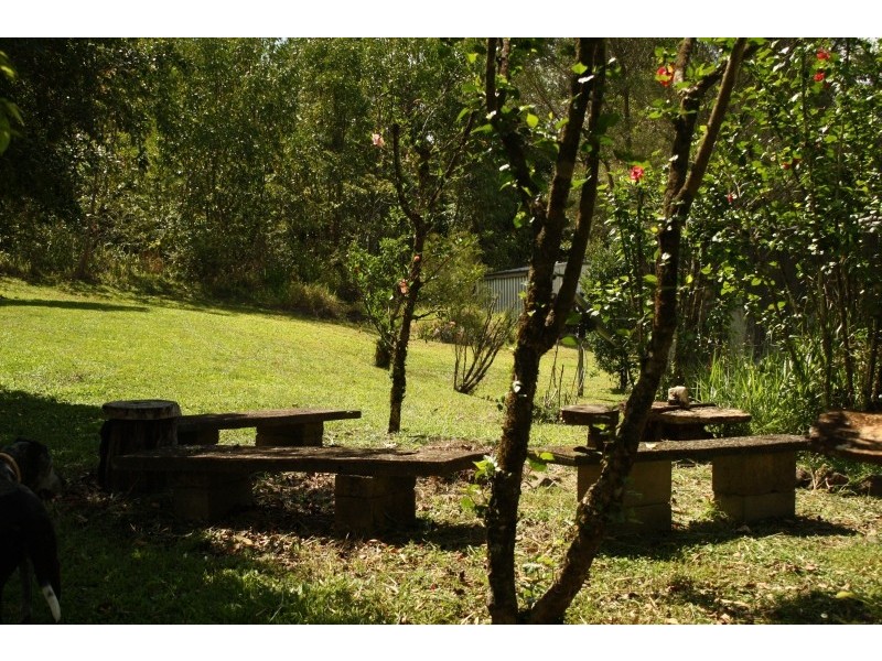 Millaa Millaa QLD 4886