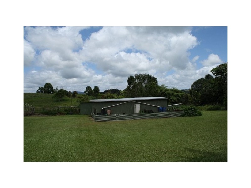 Tarzali QLD 4885