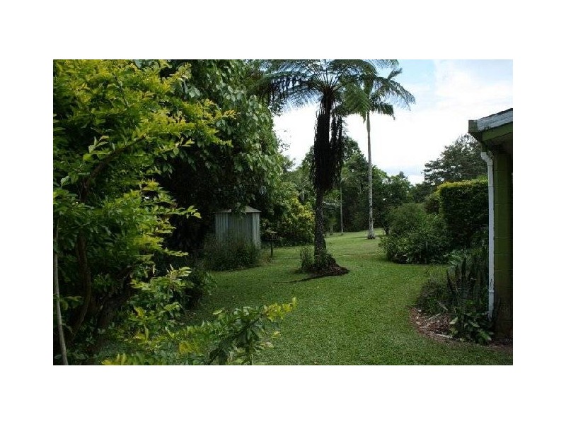 Tarzali QLD 4885