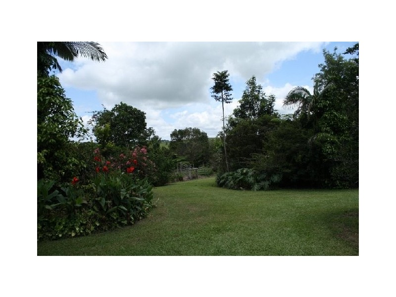 Tarzali QLD 4885