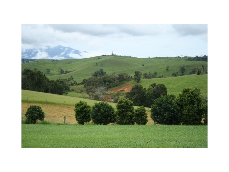 Tarzali QLD 4885
