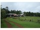 Tarzali QLD 4885