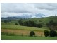 Tarzali QLD 4885