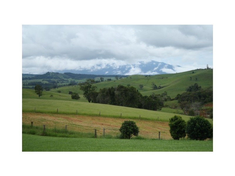 Tarzali QLD 4885