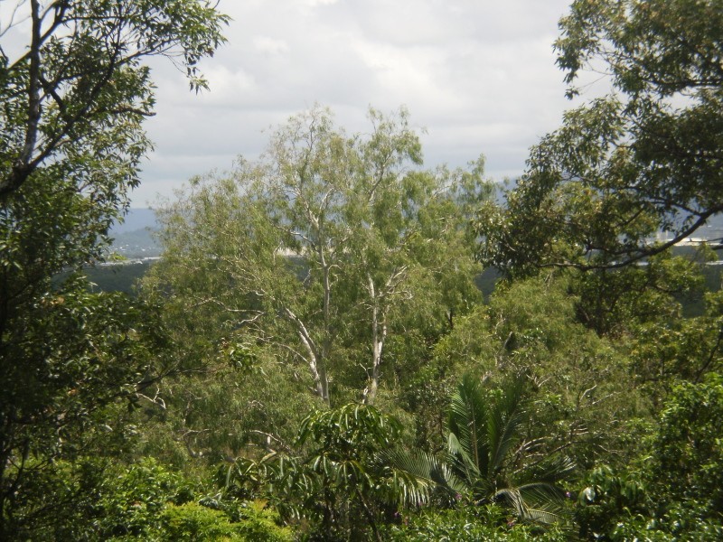 1338 pine creek yarrabah rd, Gordonvale QLD 4865