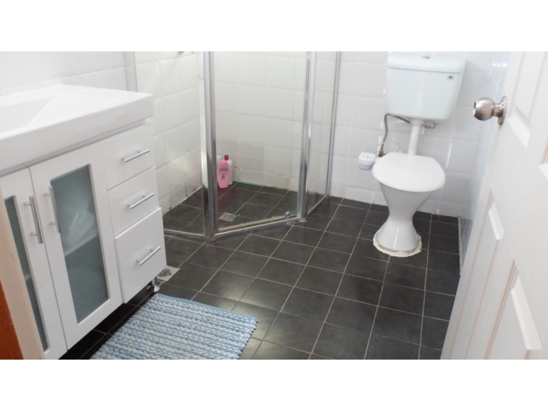 16 Freisian Street, Busby NSW 2168