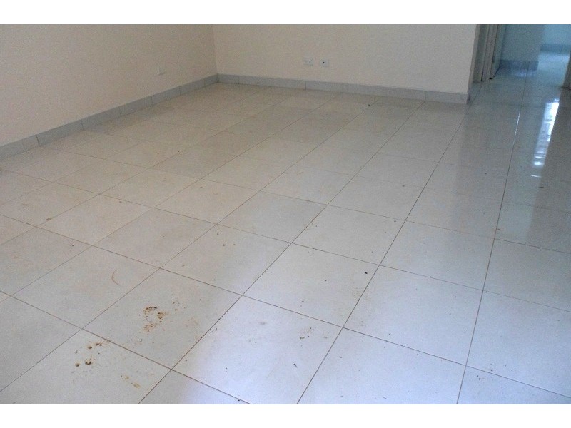 - Baden Avenue, Bass Hill NSW 2197