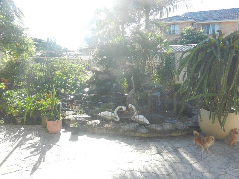 35 Ferngrove rd, Canley Heights NSW 2166