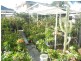 35 Ferngrove rd, Canley Heights NSW 2166