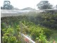 35 Ferngrove rd, Canley Heights NSW 2166