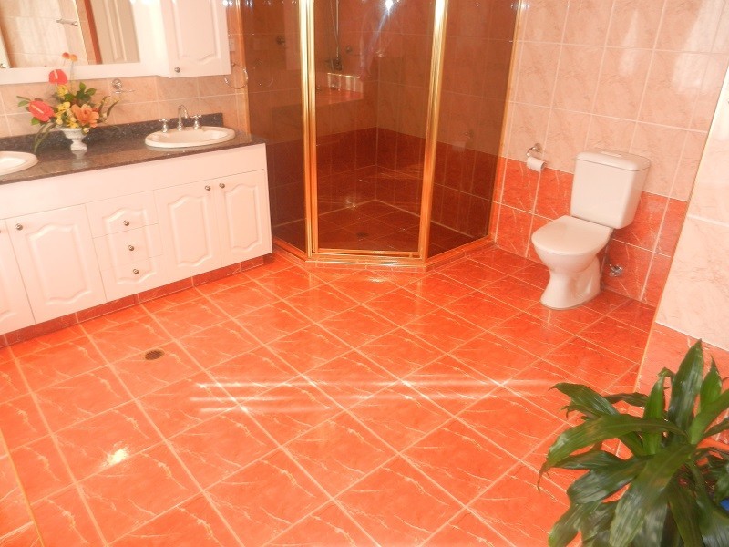 35 Fergrove Road, Canley Heights NSW 2166