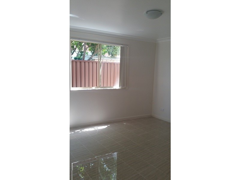 12 Mt lewis ave, Punchbowl NSW 2196