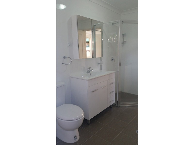 12 Mt lewis ave, Punchbowl NSW 2196