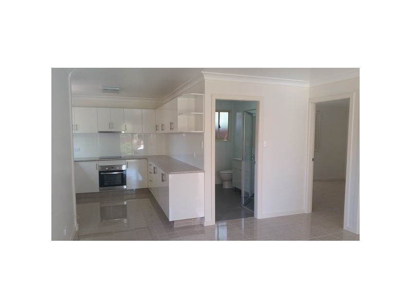 12 Mt lewis ave, Punchbowl NSW 2196