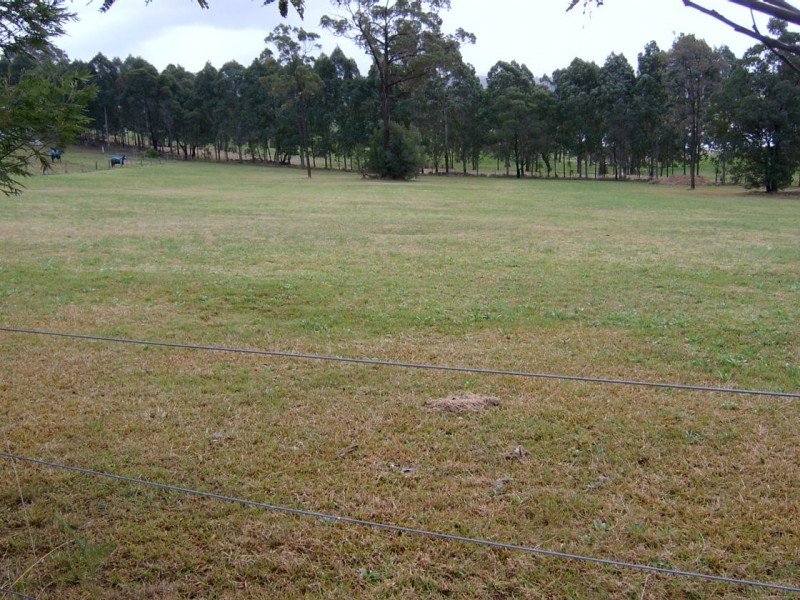 2/236 Bodalla Park Drive, Bodalla NSW 2545