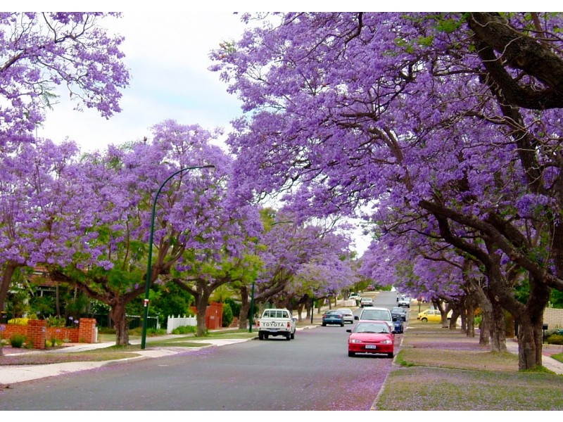 2/68 Strickland Street, South Perth WA 6151