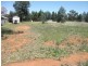 Lot 12 Comeback St, Albert NSW 2873