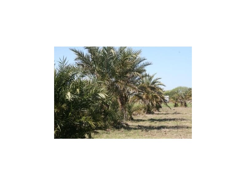 L115 Clarendon Road, Lowood QLD 4311