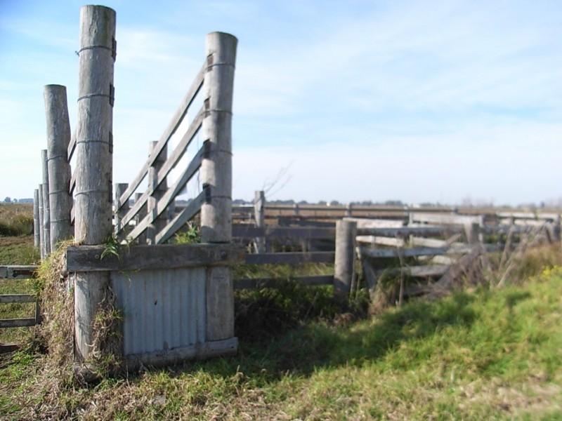 Bellimbopinni NSW 2440