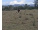Lot 1,18,19 Allens Access, Mungay Creek NSW 2440