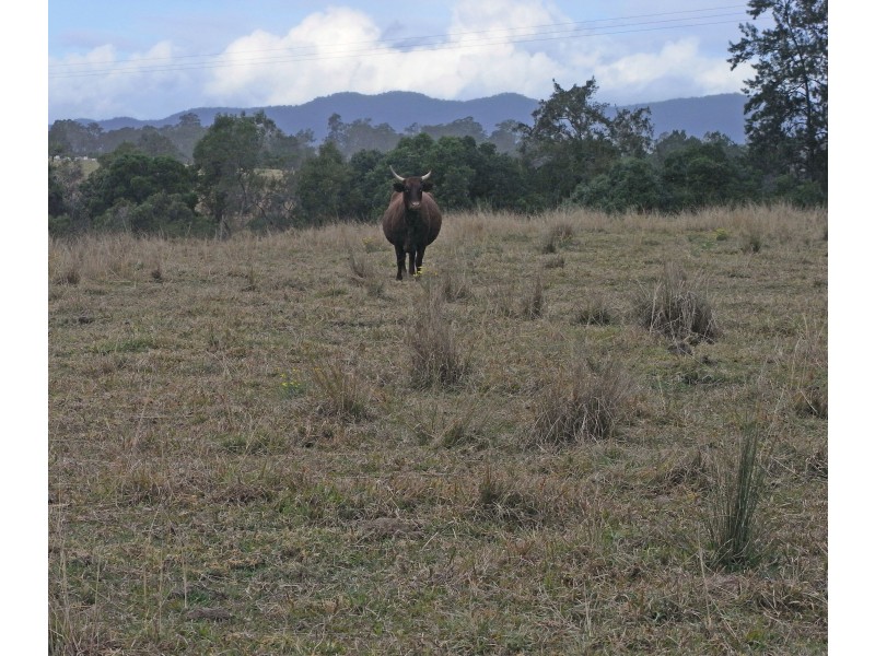 Lot 1,18,19 Allens Access, Mungay Creek NSW 2440