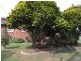 117 North Street, Kempsey NSW 2440