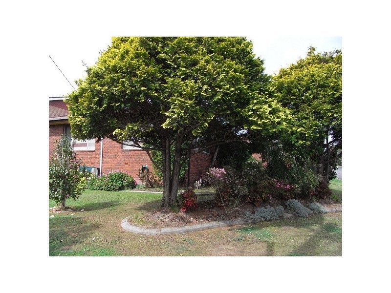 117 North Street, Kempsey NSW 2440
