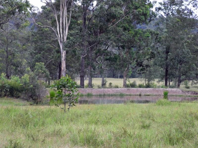 246 Mungay Flat Rd, Willawarrin NSW 2440