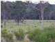 246 Mungay Flat Rd, Willawarrin NSW 2440