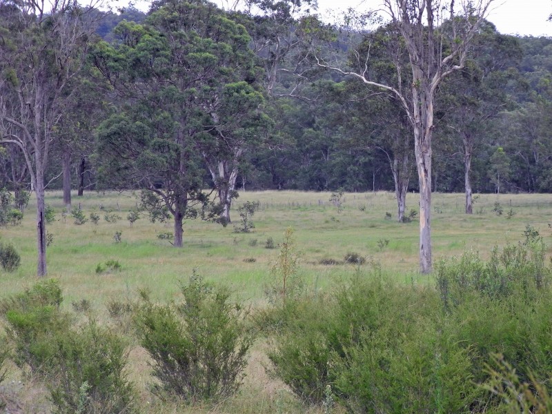246 Mungay Flat Rd, Willawarrin NSW 2440