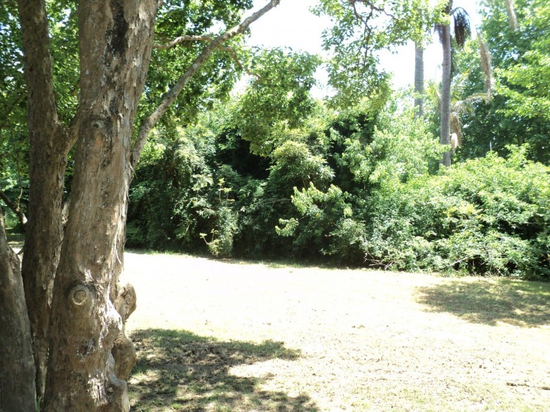 1626 Wisemans Ferry Road, Central Mangrove NSW 2250