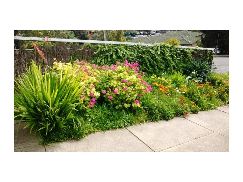 6 HYLAND AVENUE, Darlington SA 5047