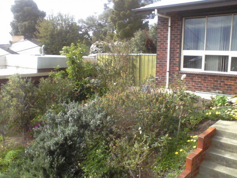 6 WAITE AVENUE, Seacombe Heights SA 5047