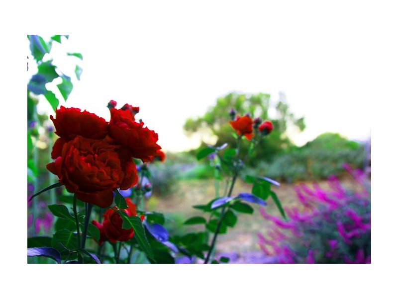 173 Port Road (16 Yacca Way), Aldinga SA 5173