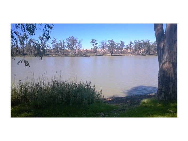 49 The River Front, Blanchetown SA 5357