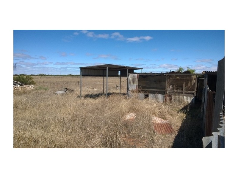 474 Mallee Highway, Tailem Bend SA 5260