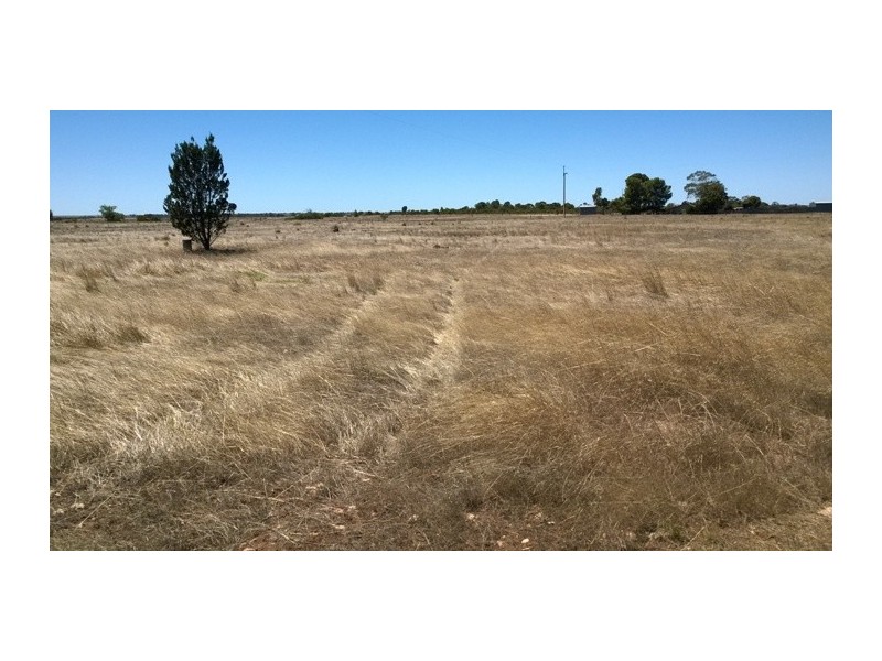 476 Mallee Highway, Tailem Bend SA 5259
