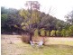 Laguna NSW 2325