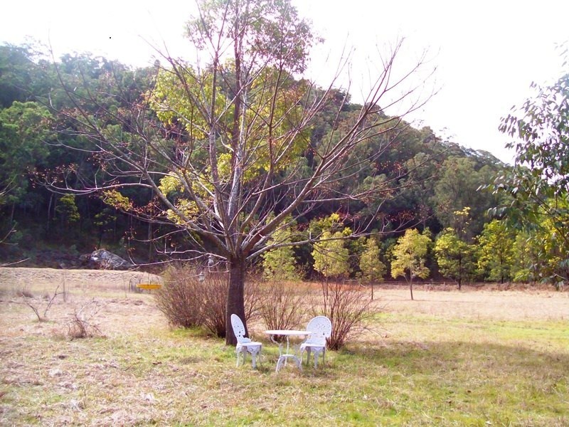 Laguna NSW 2325