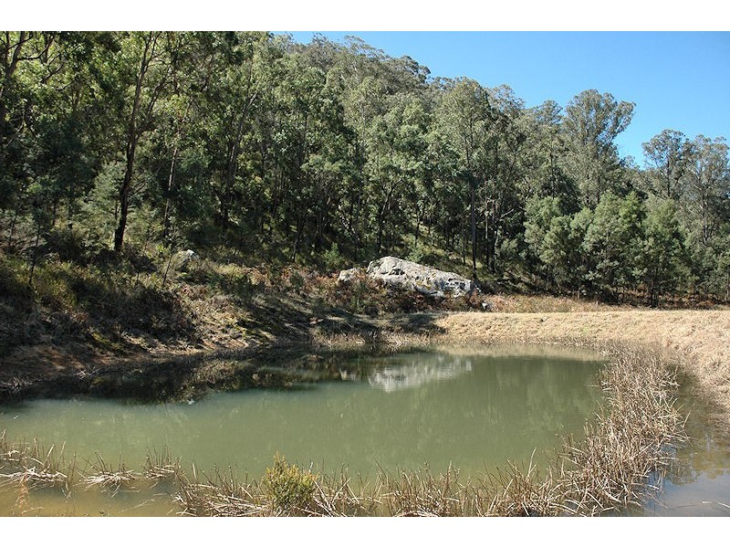 Laguna NSW 2325