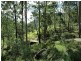 Laguna NSW 2325